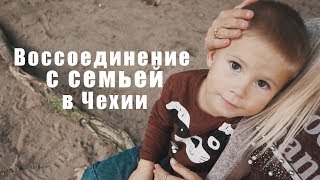 КАК ВОССОЕДИНИТЬ СЕМЬЮ В ЧЕХИИ? | Виды | Разница | Пакет документов