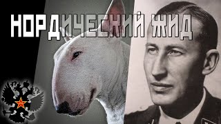 НОРДИЧЕСКИЙ ЖИД - Фридрих Вольтман