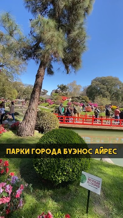 Самый зеленый город в мире - YouTube