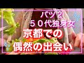 ひとり暮らし[オイルマッサージのお仕事]黒毛和牛ハンバーグ