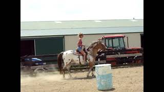 SUPER UNIQUE DUN & WHITE LEOPARD APPALOOSA GELDING, ANYONE CAN RIDE, SHOWN IN 4H, ENGLISH & WESTERN