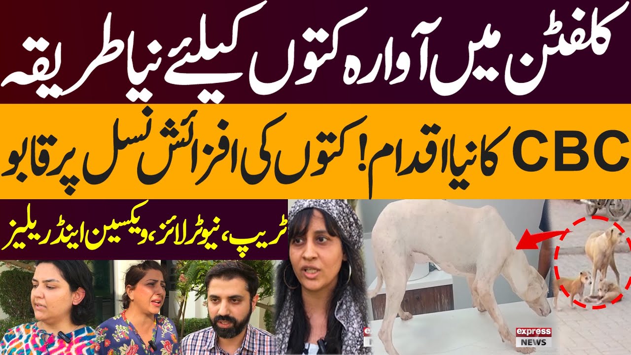 CBC Launches Humane Program for Stray Dogs in DHA & Clifton | Express News