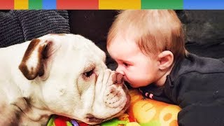 NEW BEST Funniest Baby and Dog Playing Together - Funny Baby and Pet
