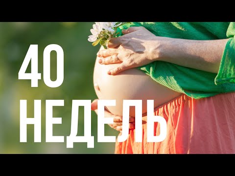 40 Недель  Беременность и Роды | Шевеления Малыша | Ощущения