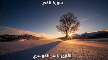 ياسر الدوسري - سورة الفجر
