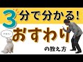 【3分で分かる】おすわりの教え方☆決定版☆
