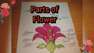 How to draw parts of flower labeled diagram || Labelled Longitudinal Section Of Flower || easy