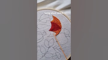 Long short stitch tutorial #embroidery #handembroidery #handmade #stitch #art #fall #autumn #craft