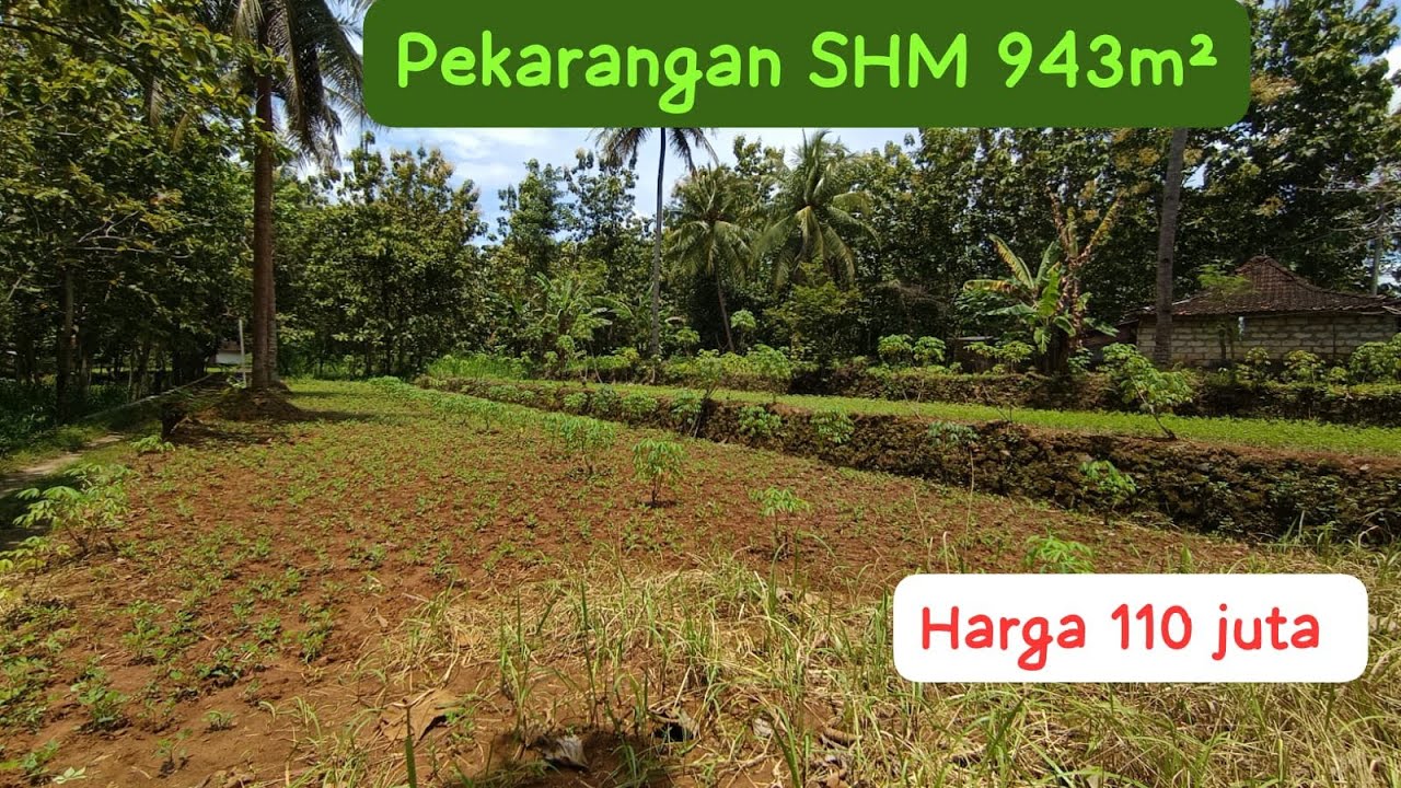 TerjuaL❌Pekarangan Dekat Jalan Raya Cocok Buat Rumah Tinggal #jualtanah #tanahmurahgunungkidul 