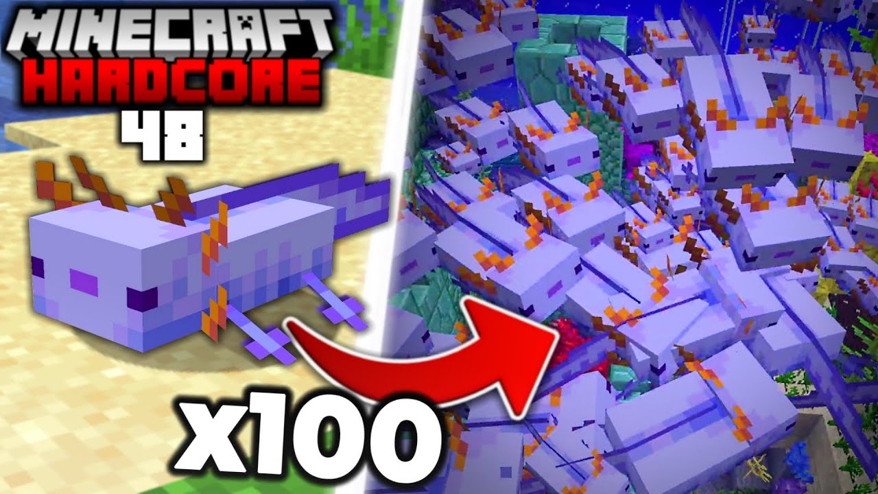 I Found 100 of the RAREST Axolotl in Minecraft Hardcore (#48) - YouTube