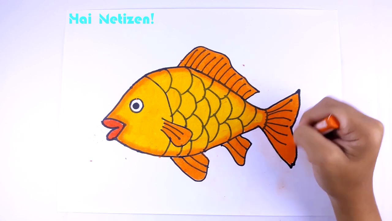 How to Draw a Fish: An Easy Fish Drawing Tutorial • Color Made Happy