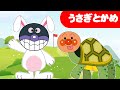 【うさぎとかめ🐢🐰】アンパンマンといっしょに歌おう♪もしもし かめよ|日本の唱歌・童謡・こどものうた