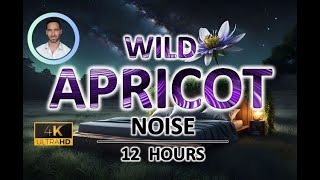 Calming Wild Apricot Noise | 12 Hours | BLACK SCREEN | For Insomnia, ADHD, Pain and Anxiety Relief