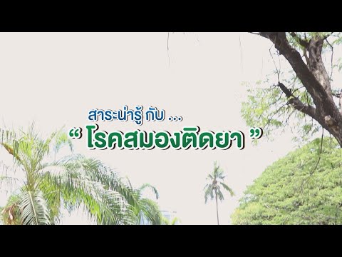 วีดีโอ: แปลจากภาษาญี่ปุ่นเป็นภาษาทั่วไป