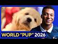 PREDICTING World Cup 2026 w/ PUPPIES!