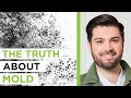 The truth about mold in the home  with michael rubino  the empowering neurologist ep 160
