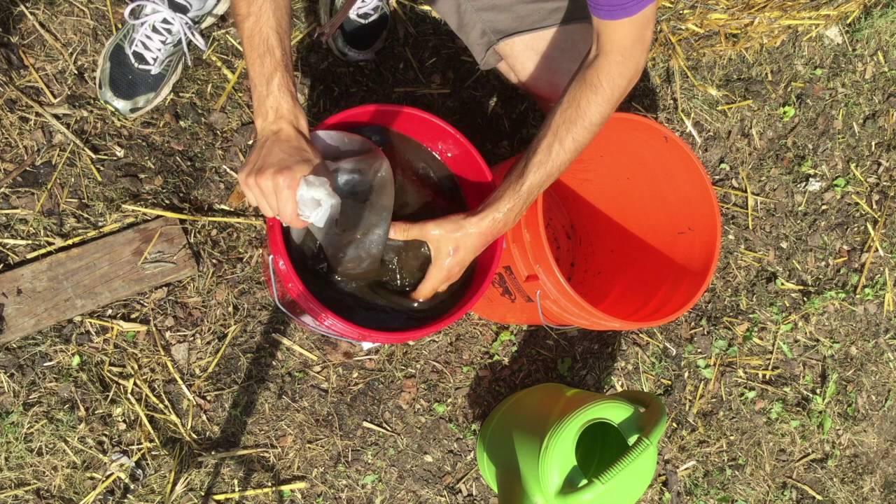 Make Compost Extract YouTube