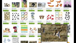 Dreamstime - Download Images for Your Website Free!