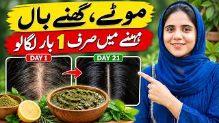 Information THIS 1 Remedy Fixes Every Hair Problem & Grows Hair 10X Faster News