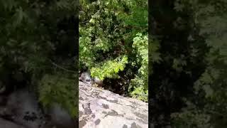 Amcamızın Güzel Anlatımıyla Külli Şelalesi- İskenderun - Hatay