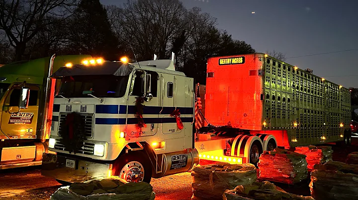 The Cabover Is Back.. I Finally Decided To Do A Ca...