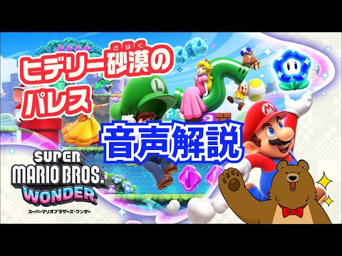 完全攻略 ヒデリー砂漠のパレス 全アイテム 頂点ゴール スーパーマリオブラザーズワンダー