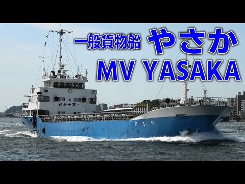 一般貨物船 やさか 鶴丸海運 - MV YASAKA - 2023OCT - Shipspotting Japan @JG2AS