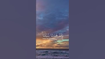 سبحان الله وبحمده سبحان الله العظيم.القارئ اسلام صبحي،سورة ابراهيم#القرآن #القرآن_الكريم#اسلام_صبحي