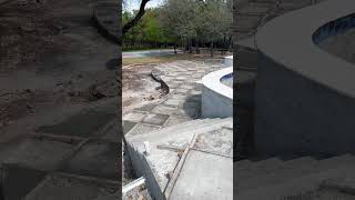 Custom Pool Pavers #poolbuilder #poolconstruction #wacotexas #gunitepools #pooldeck #poolideas