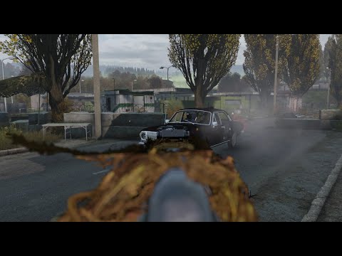 Видео: Ванильное выживание и рейд базы от первого лица в DayZ