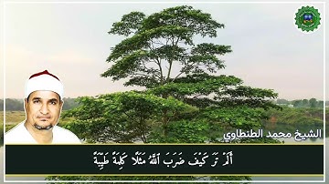 الشيخ محمد عبدالوهاب الطنطاوي _ مقطع رااائع من سورة إبراهيم _ بأداء في غاية الجمااال 💖