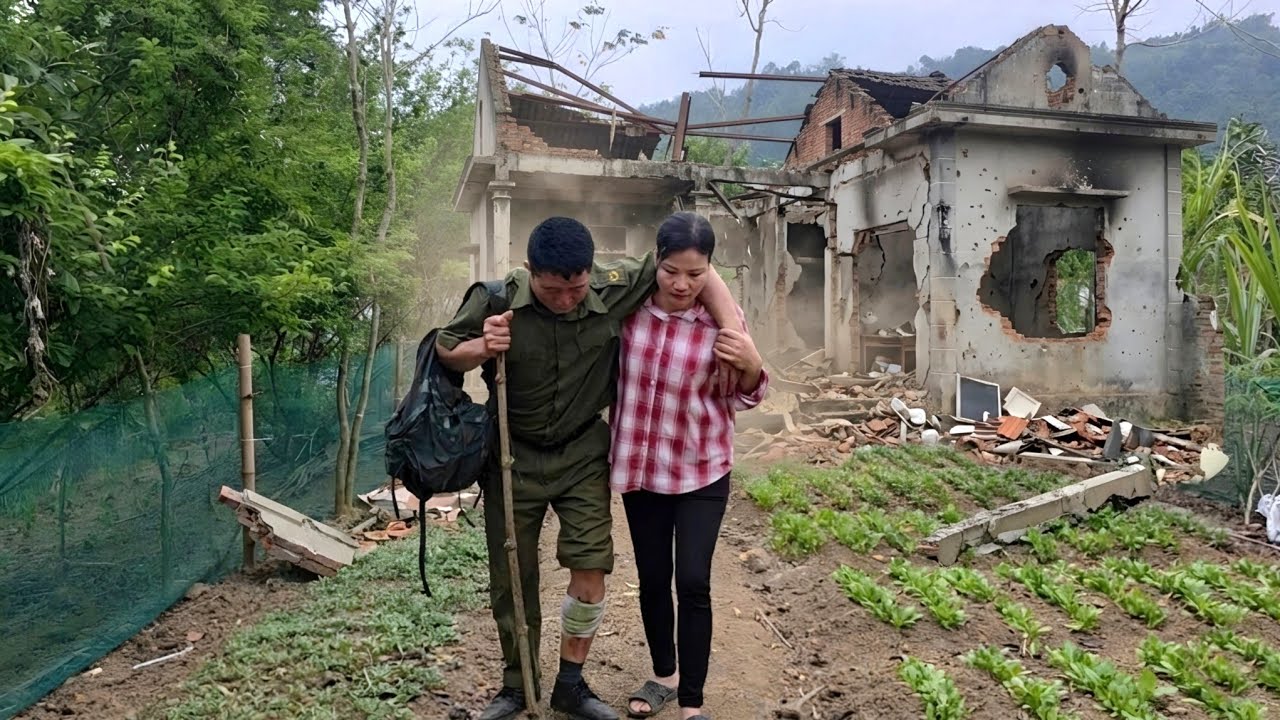 The veteran returned. He left the city and went into the forest to search for a single mother.