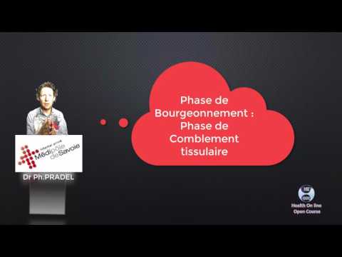 Vidéo: Qu'est-ce qui est impliqué dans la première phase de la cicatrisation ?