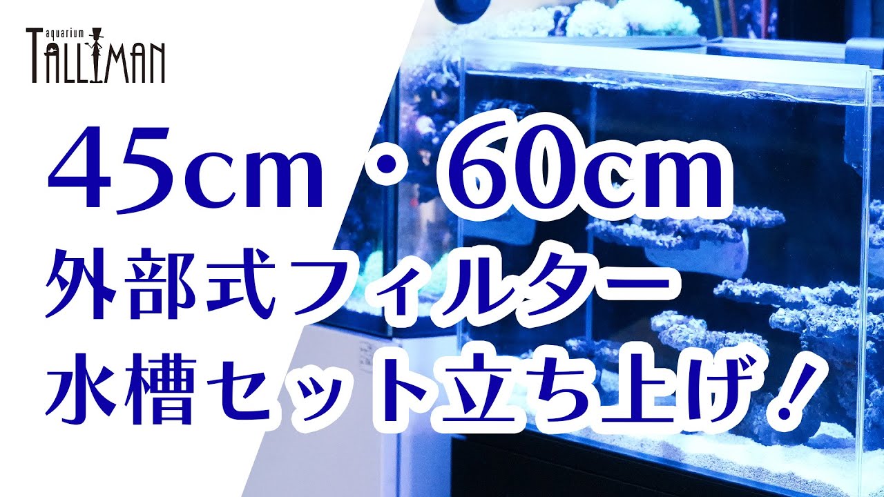 ショートマンTV！45/60cm水槽外部式サンゴ飼育セット大全 - YouTube