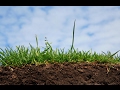 Основы почвоведения