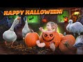 ALL MY TORTOISES ESCAPED! HAPPY HALLOWEEN HAHA