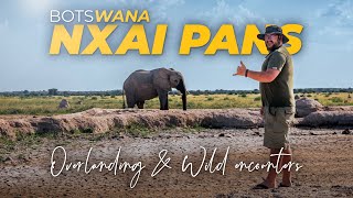 Overlanding BOTSWANA | Nxai Pans & the Tuli Wilderness | An Adventure you have to do | Ep2 by 4x4ventures 59,482 views 1 year ago 1 hour, 8 minutes