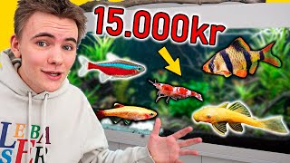 Nyt, Stort Akvarium og Alle Mine Fisk! (Vlog)