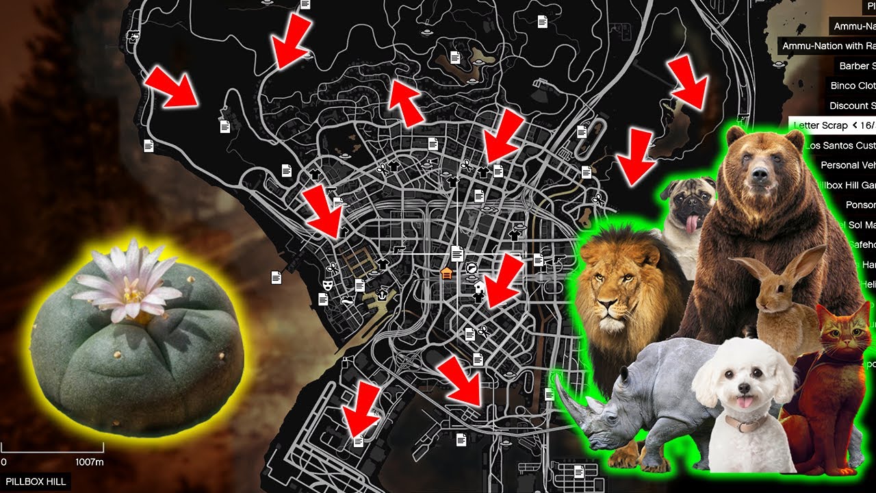 GTA 5 All 27 Peyote Plant Locations In Story Mode Unlock Every Maxresdefault 