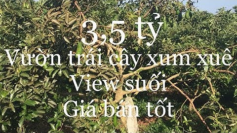 Bán gấp 2 sào vườn trái cây view suối xã láng lớn huyện châu Đức tỉnh bà rịa Vũng tàu
