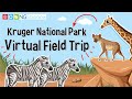 Kruger National Park Knowledge Assessment