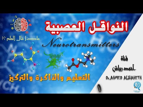 النواقل العصبية || التعليم والذاكرة والتركيز .