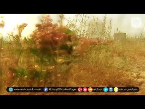 مالي وقفت على القبور مشاري بن راشد