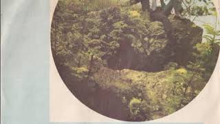 Milan Chladil - Kdybych tě neměl rád (1979, vydáno 1980)