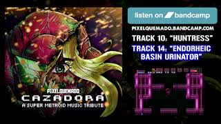 ThePlasmas - CAZADORA (Super Metroid Tribute)