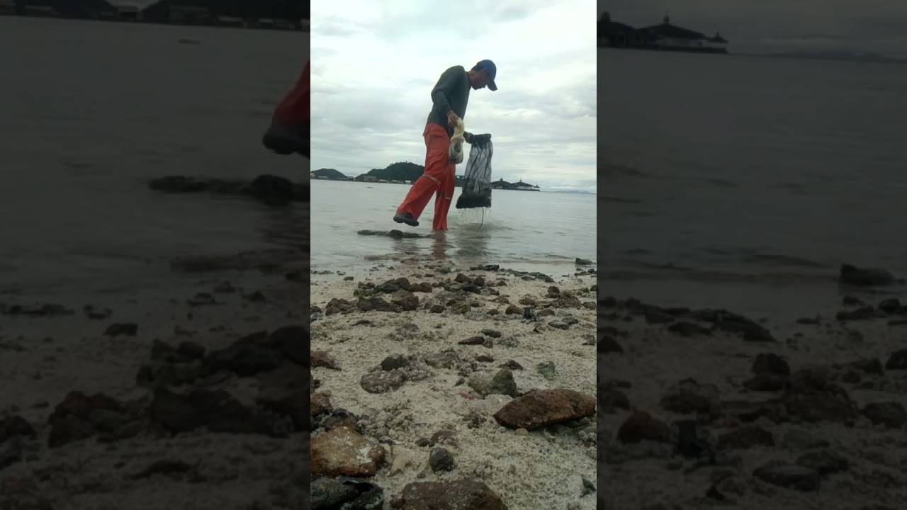 ngejala ikan semadar