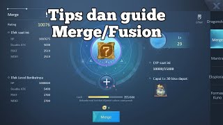 Guide&tips Merge❗ Dragon Raja Sea