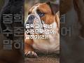 대박 쉽게 영어말하기!(2)#영어말하기#기초영어회화