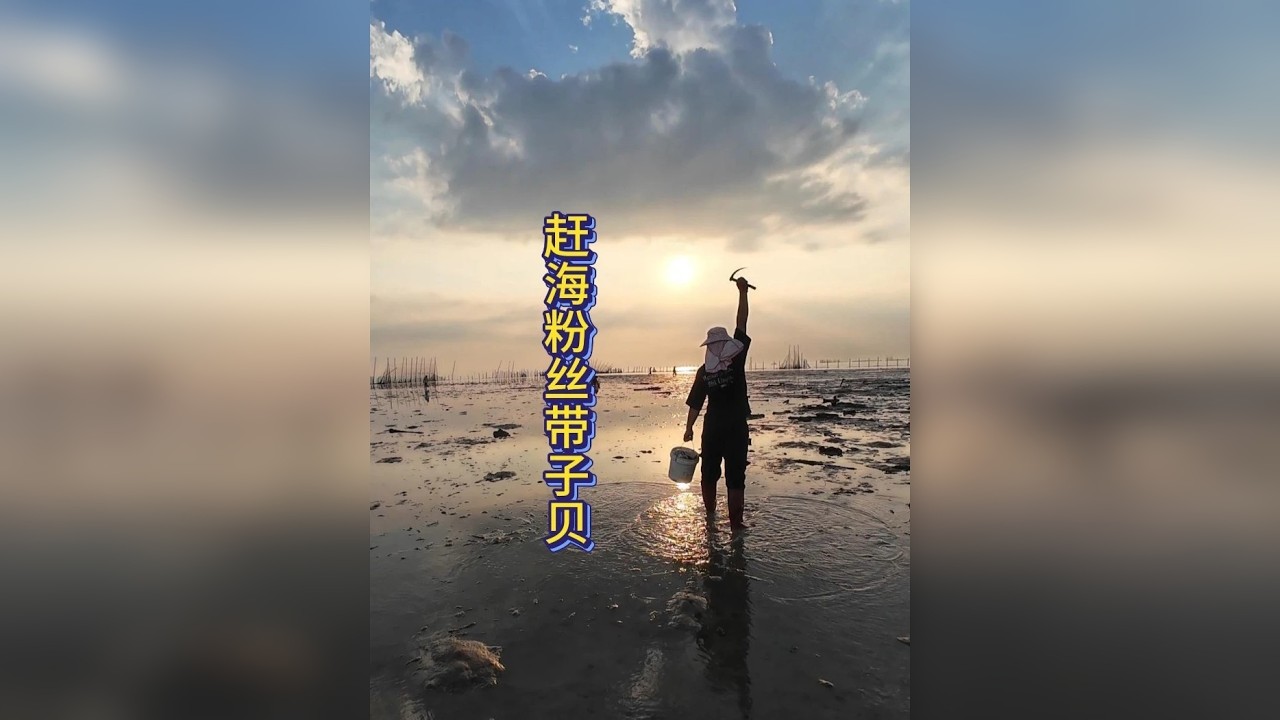 粉丝蒸带子贝，渔民生活拍成电影