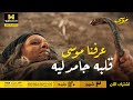 ملحمة موسى ربنا نج اها من كوارث ويموتها تعبان ده كان يتحنط 